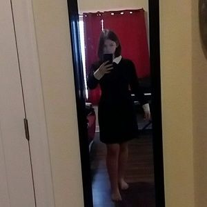 Asos Women's Black & White Collared Dress (Size 8)